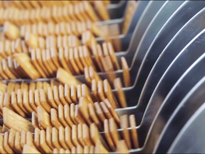 �㶫ʵ�����ɳ��������������55������������