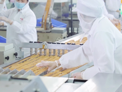 �����ʴ�55���͵�OEM ʵ����������������