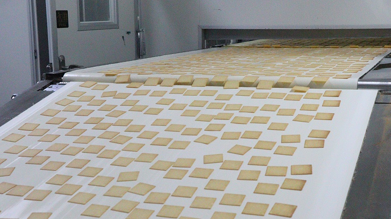 55����-��������