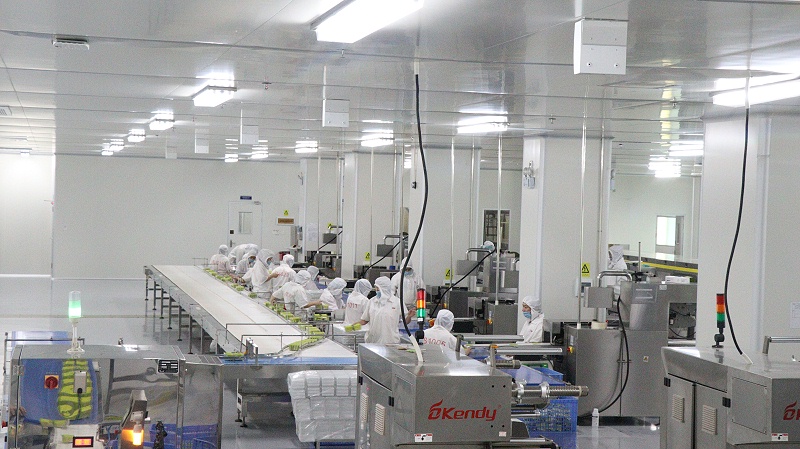 55����-��ҵ����