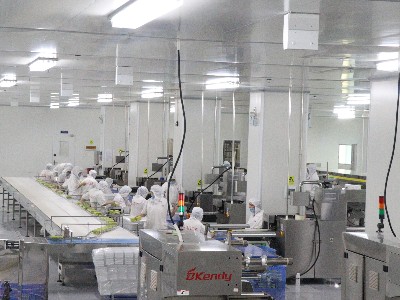 55����-��ҵ����