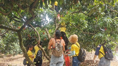 ���縣����55������֯ժ��֦�˶�