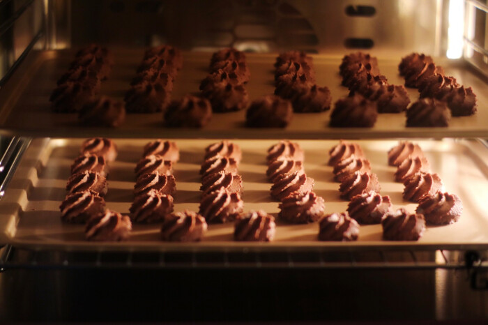 �ɿ�������