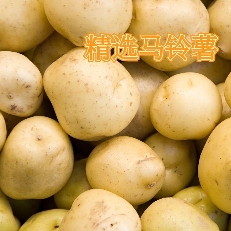 һƬһƬͣ������������С���ɣ������㡢��������������